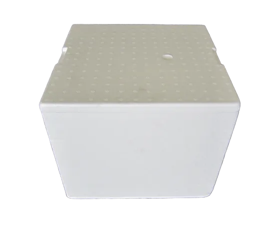 15 x 15 x 12 EPS Box/Lid