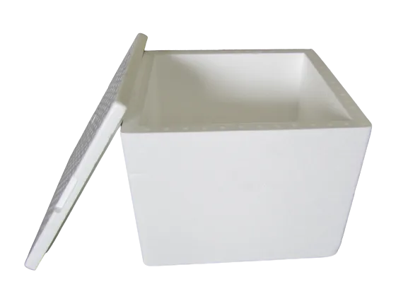 15 x 15 x 12 EPS Box/Lid
