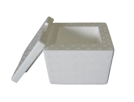 8x7x6 Styro EPS Box/Lid