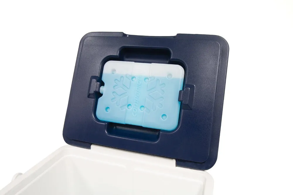 Companion Hard Cooler 14L