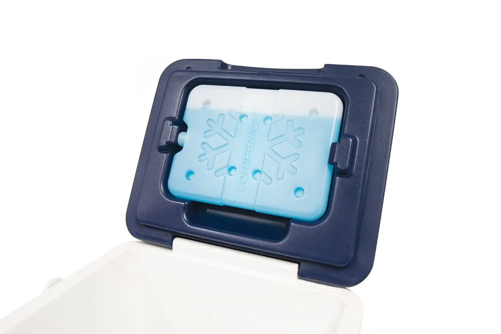 Companion Hard Cooler 7L