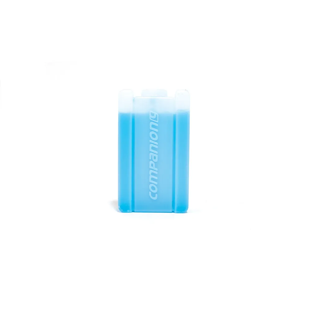 Companion Ice Brick