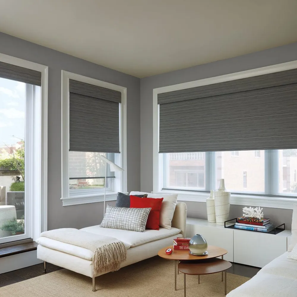 Designer Roller Shades
