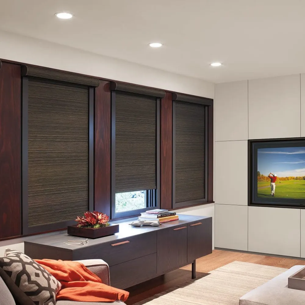 Designer Roller Shades