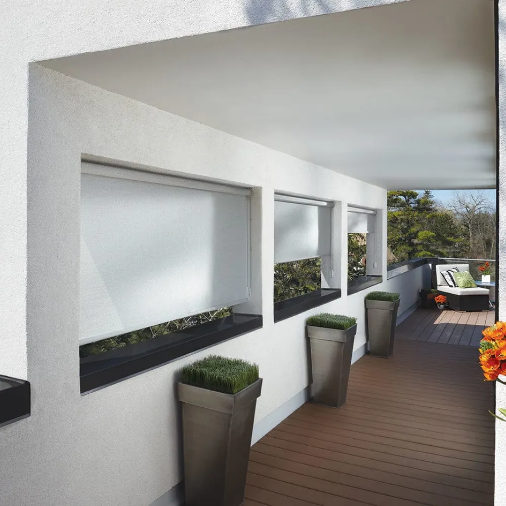Designer Screen Shades