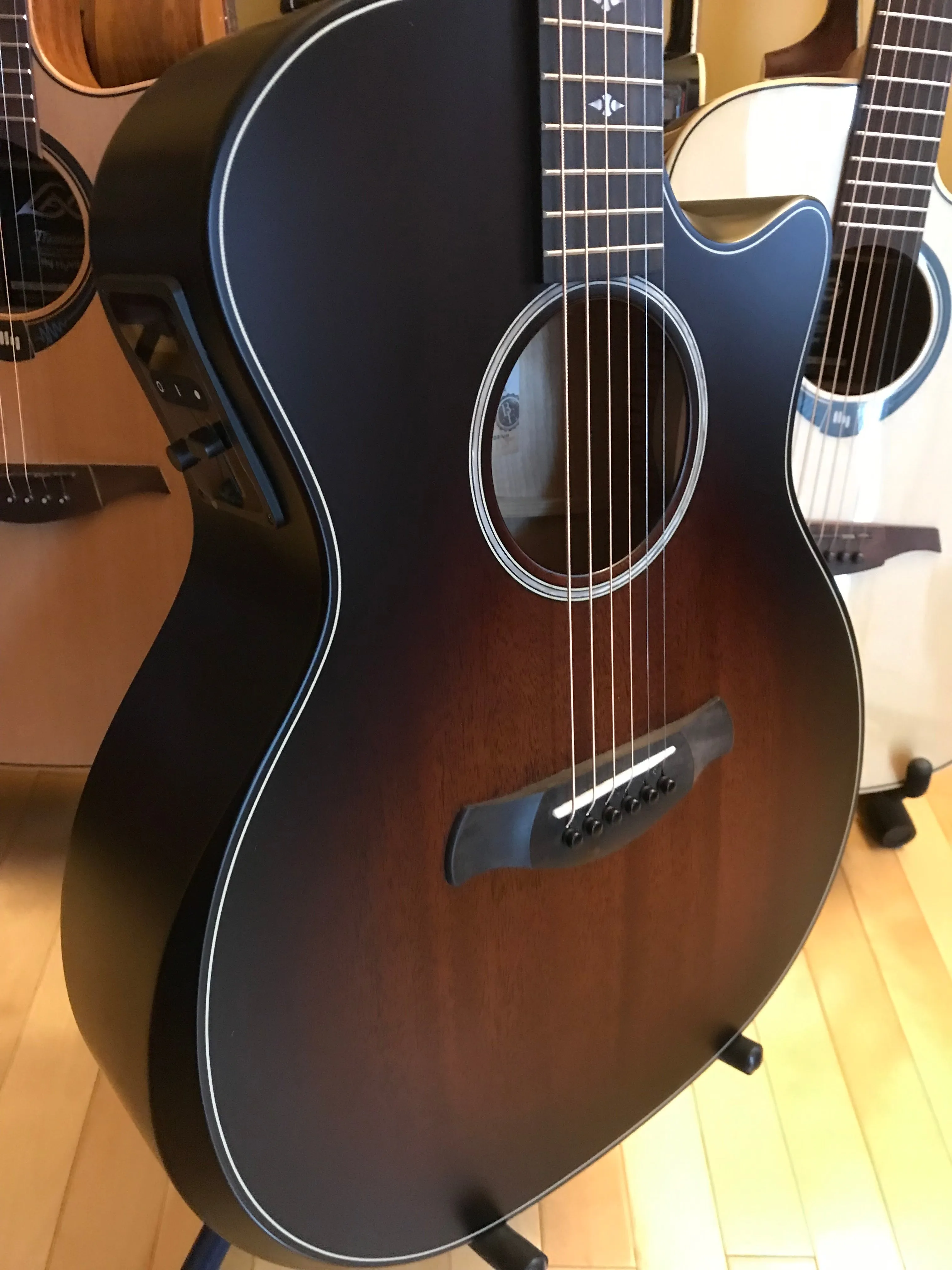 HyVibe A Guitar With Us! Authorized Installation Package