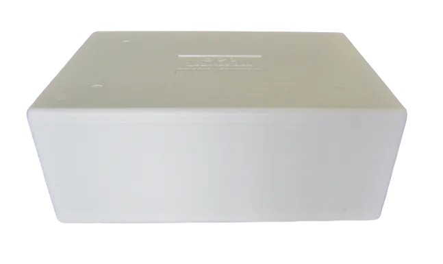 Large Lobster Styro Box/Lid